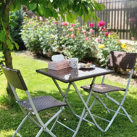 Shyla Garden 2 Brasov