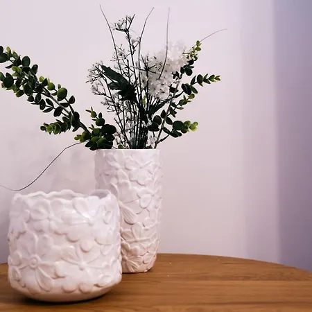 Shyla Garden * Brasov