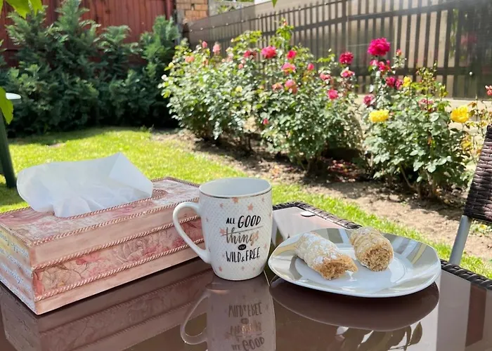 Homestay Shyla Garden Brasov