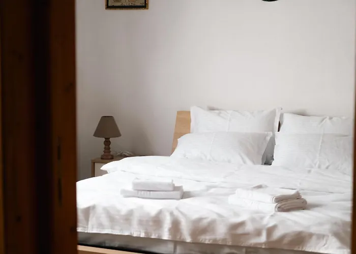 Shyla Garden Braşov