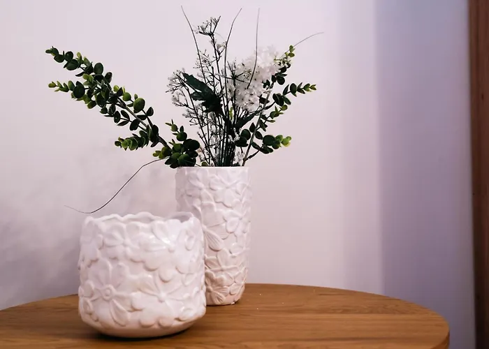 Shyla Garden * Brasov