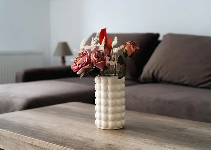 Shyla Garden * Brașov